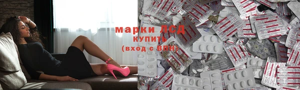spice Баксан