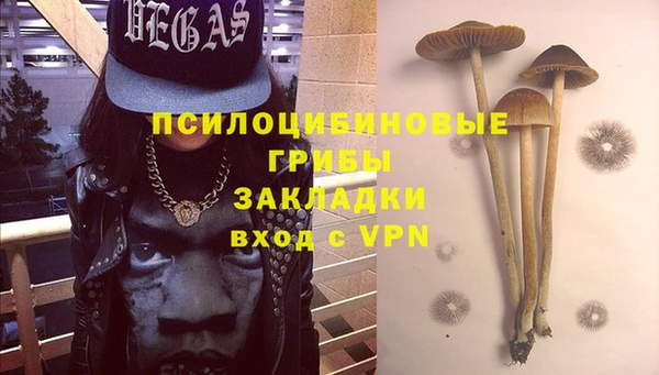 spice Баксан