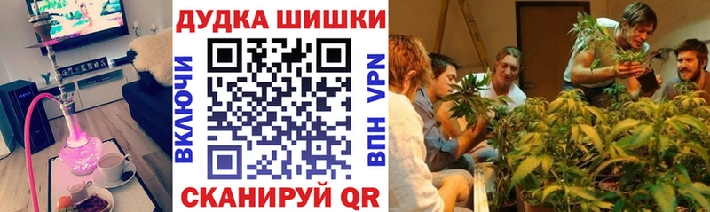 Шишки марихуана план  Бронницы 
